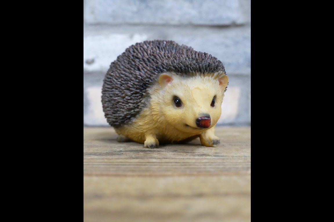 Hedgehog