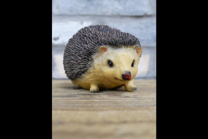 Hedgehog