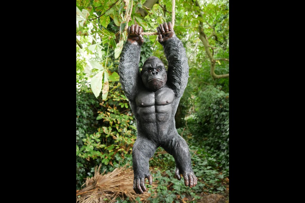 Hanging Gorilla