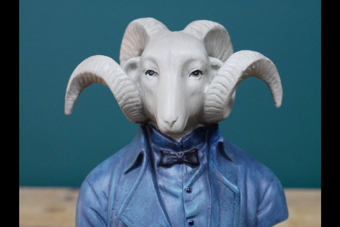 Goat Bust