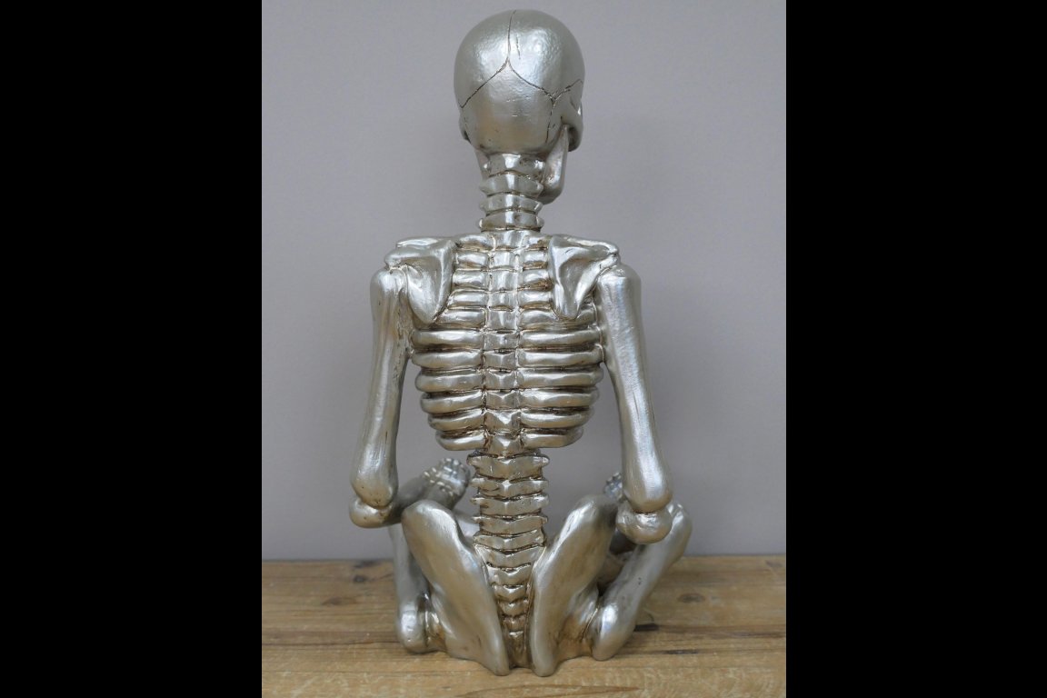 Yoga Skeleton