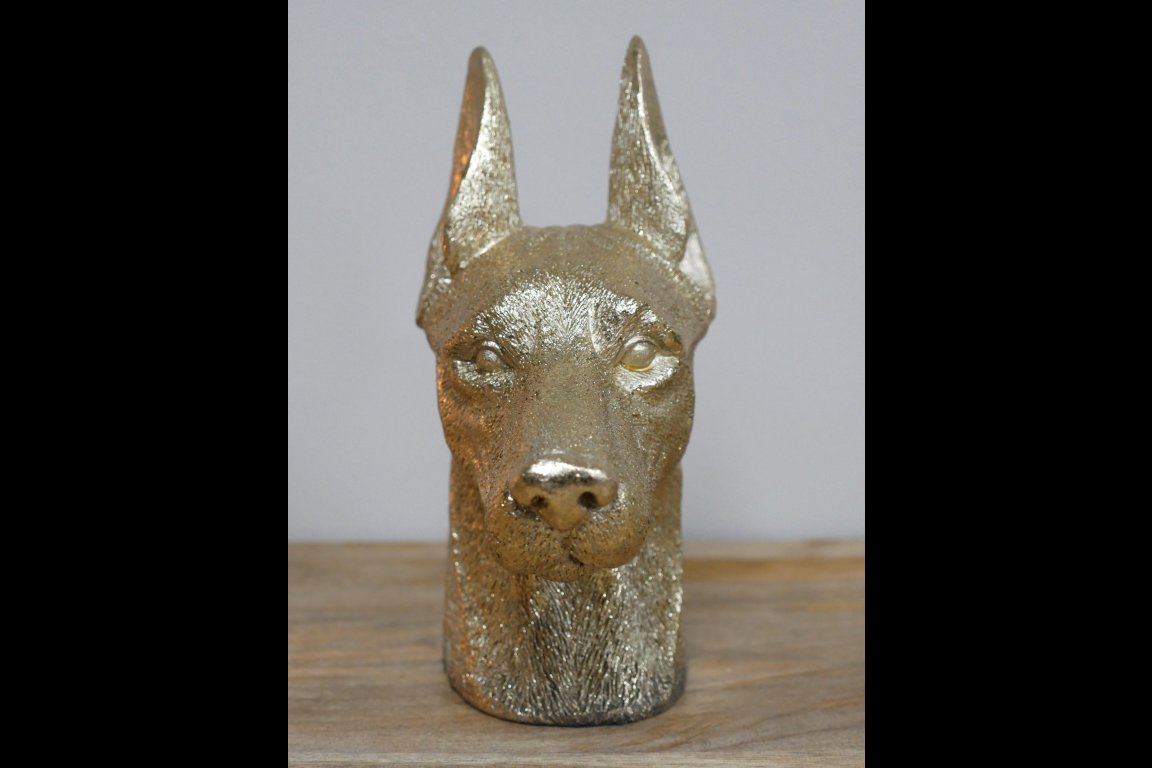 Dog Head