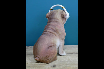 Dog With Headphones