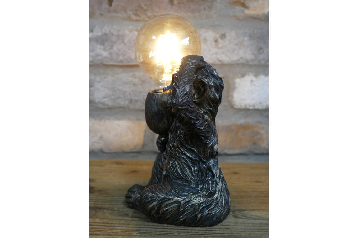 Monkey Light