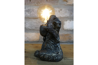 Monkey Light
