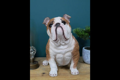 Sitting Bulldog
