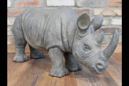 Rhino