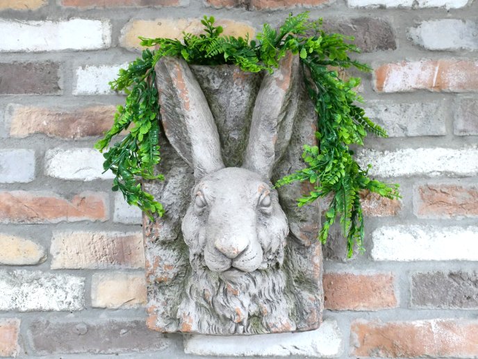 Rabbit Head