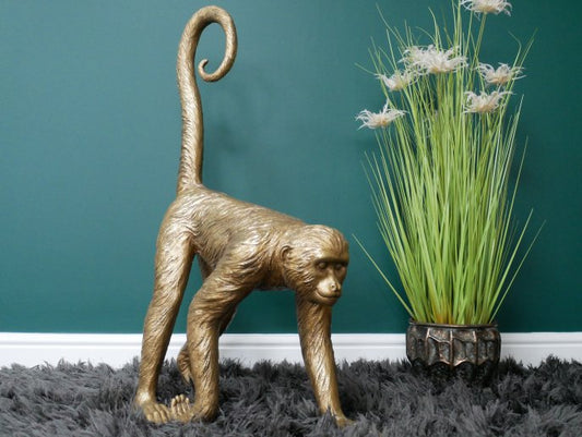 Monkey