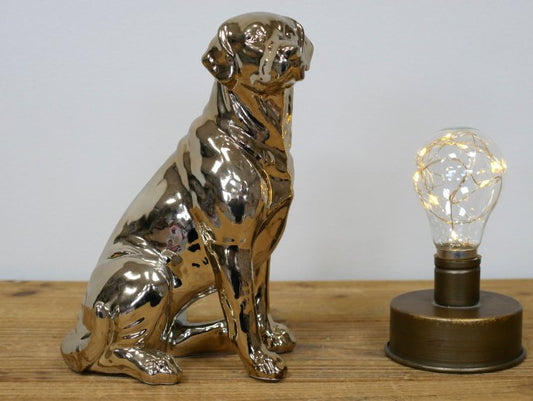 Golden Dog