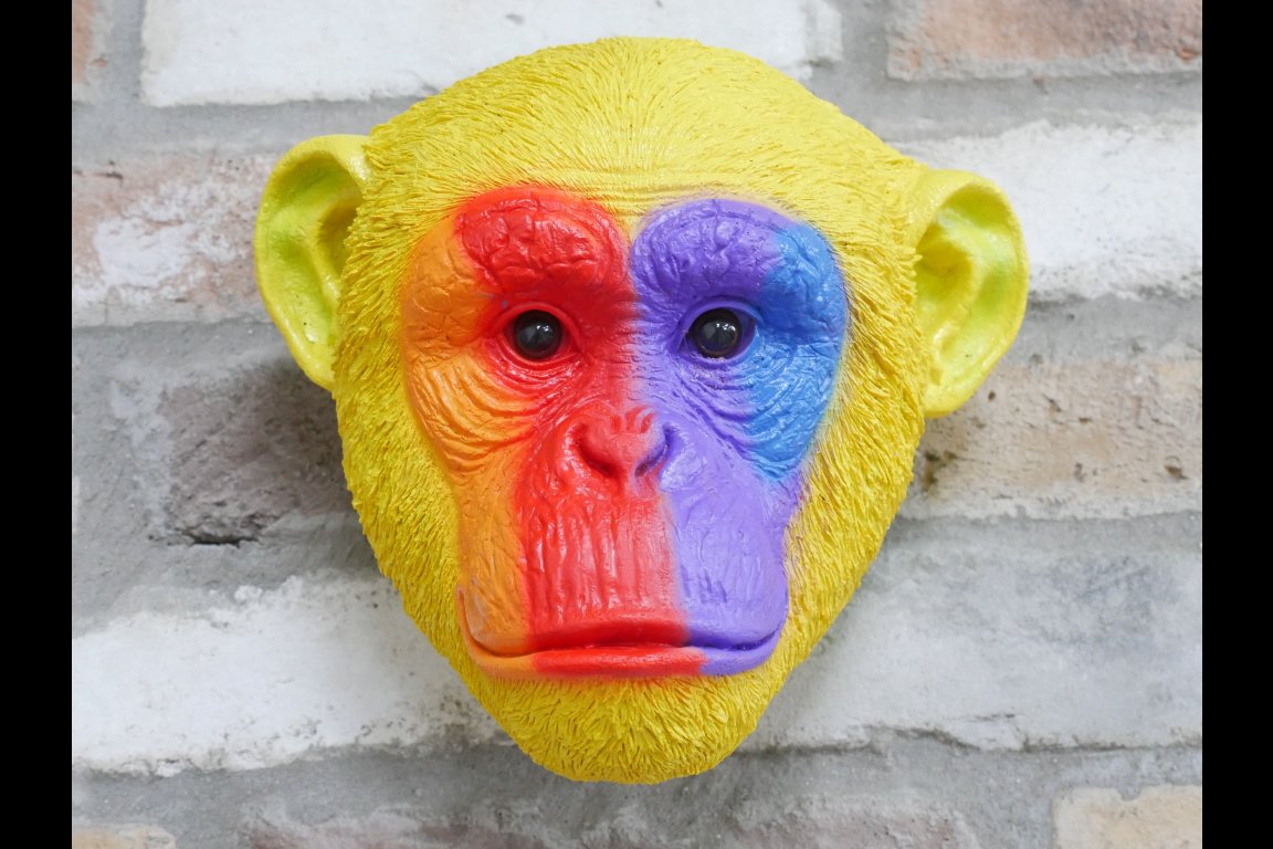 Rainbow Monkey Head