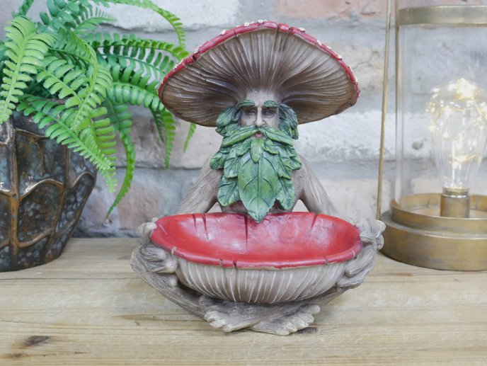 Mushroom Man