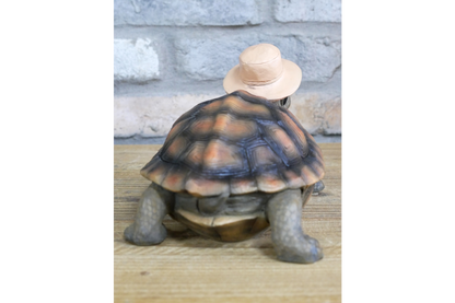 Holiday Tortoise