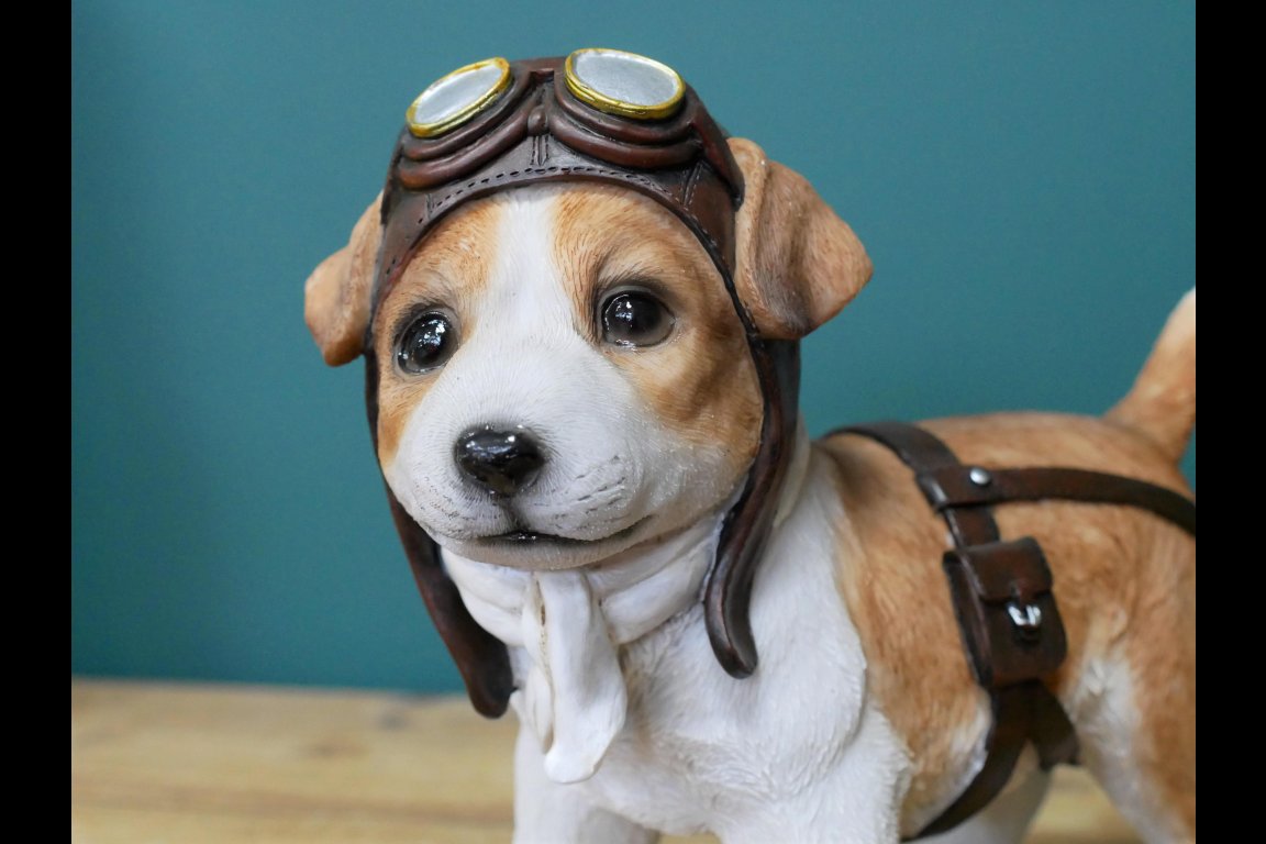 Pilot Dog