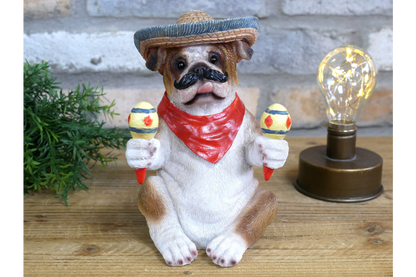 Mexican Bulldog