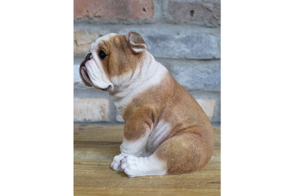 Bulldog