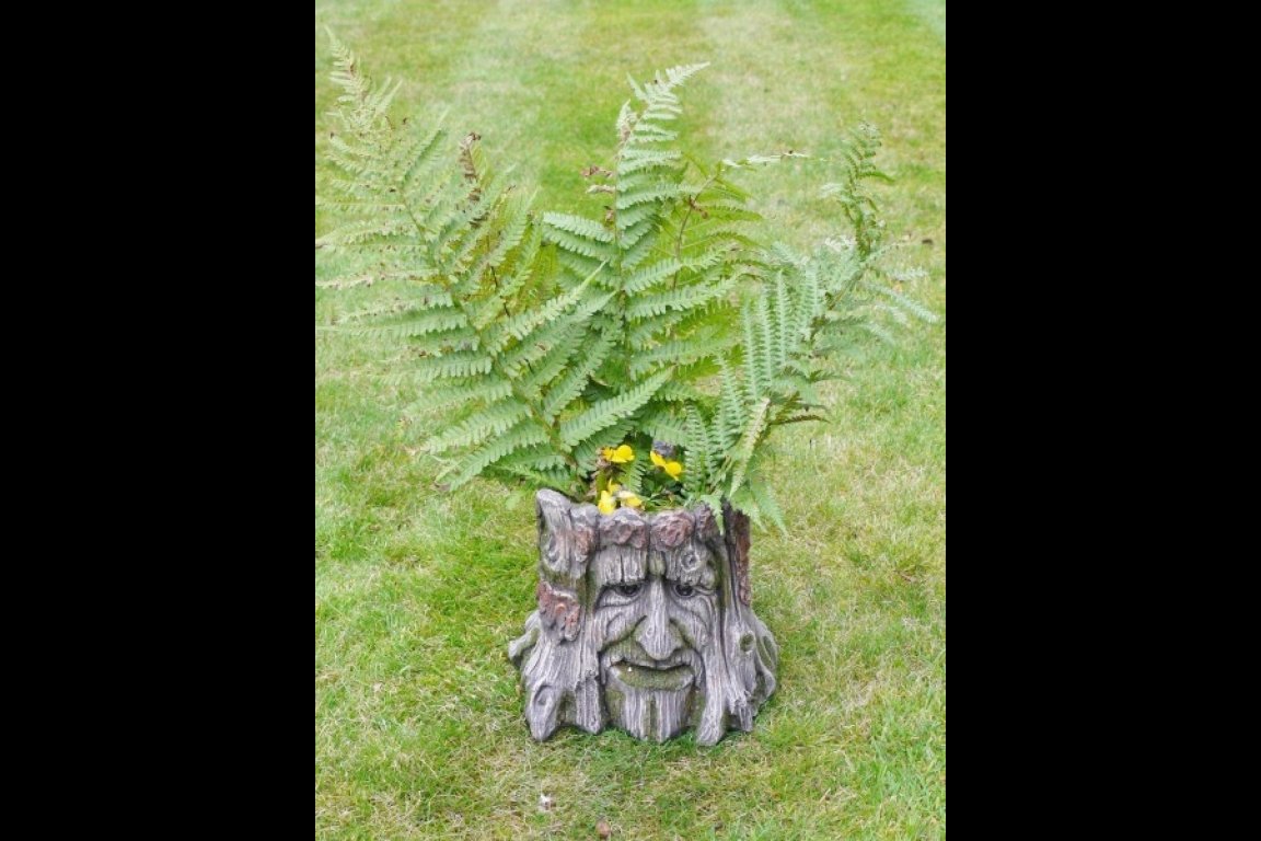 Tree Stump Planter