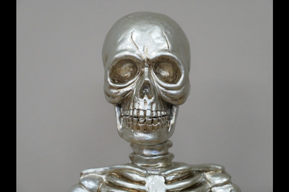 Yoga Skeleton
