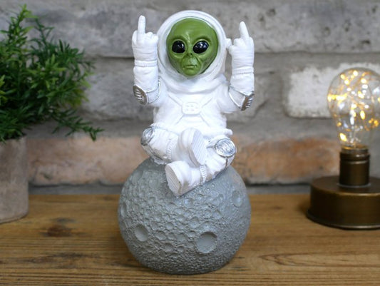 Up Yours Alien