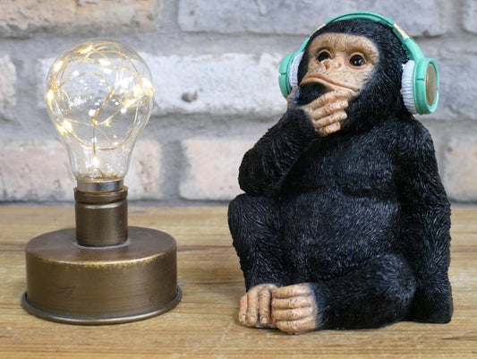 Monkey With Headphones
