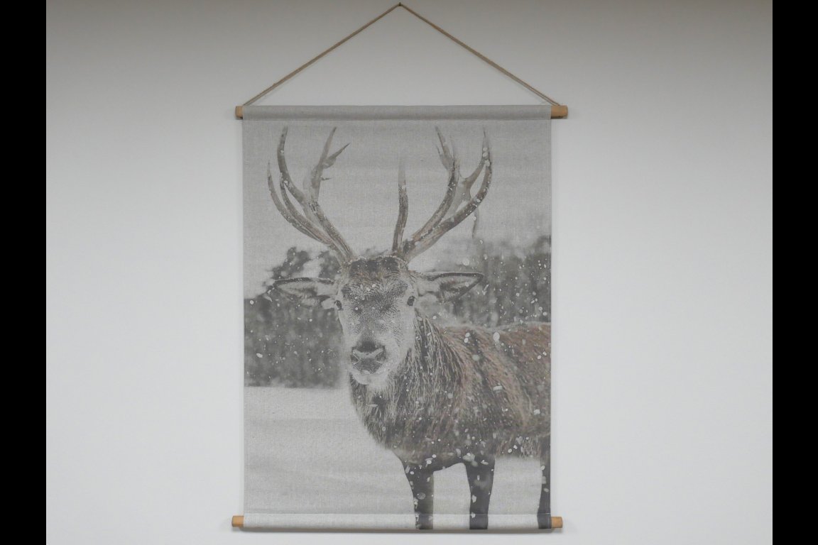 Wall Art - Stag