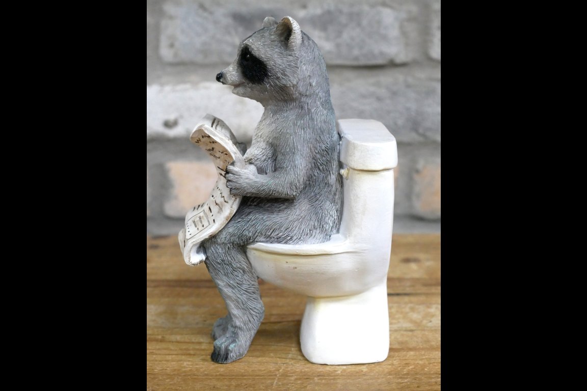 Racoon On The Loo