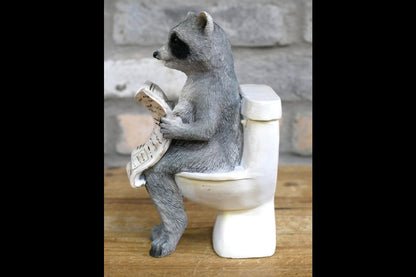 Racoon On The Loo
