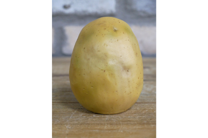 Mouse Rolling Potato