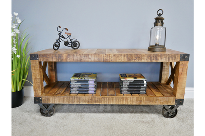 Industrial TV Cabinet