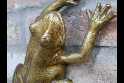 Frog Wall Decoration
