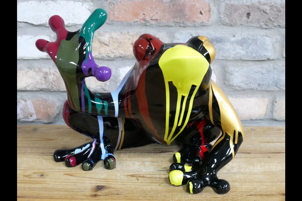 Multi Colour Frog