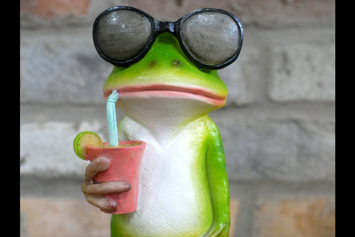 Drinking Frog