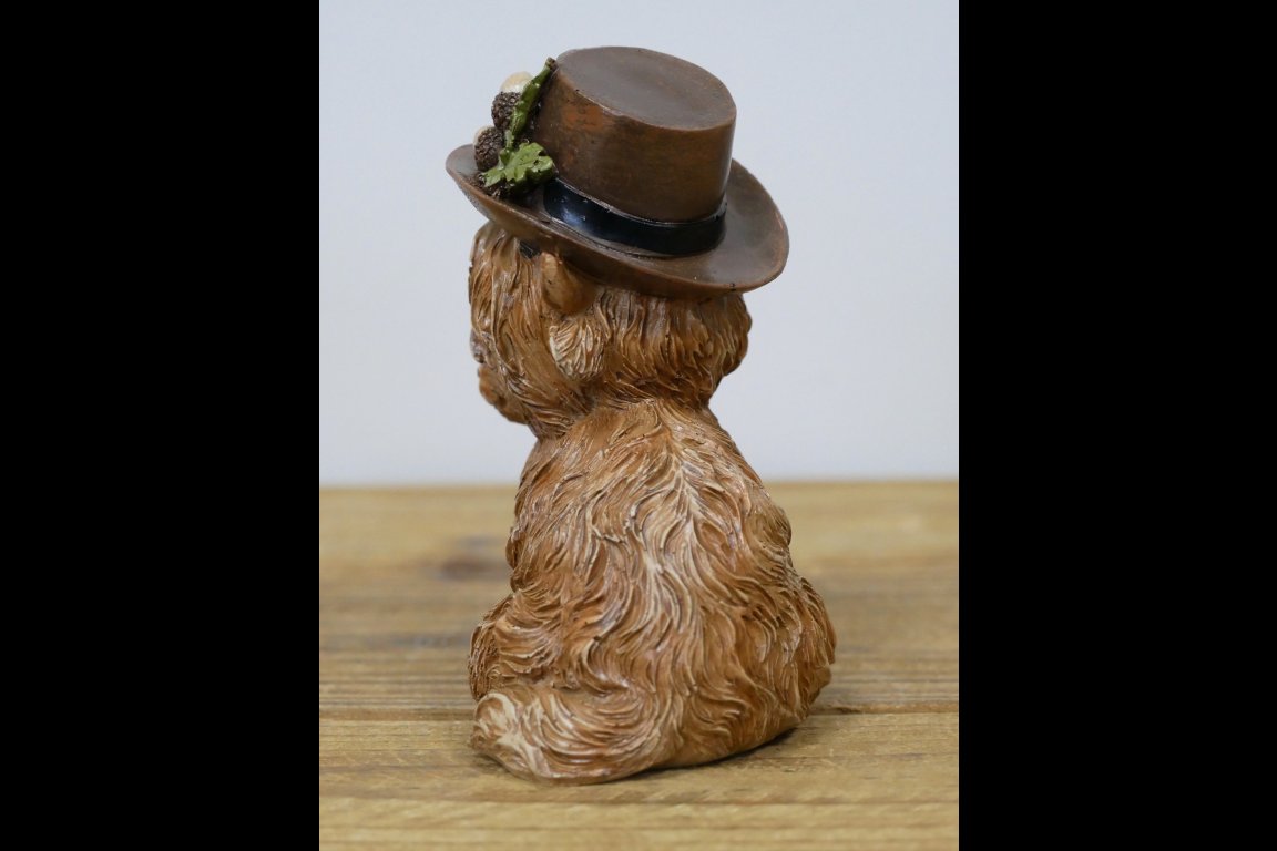 Highland Cow With A Hat