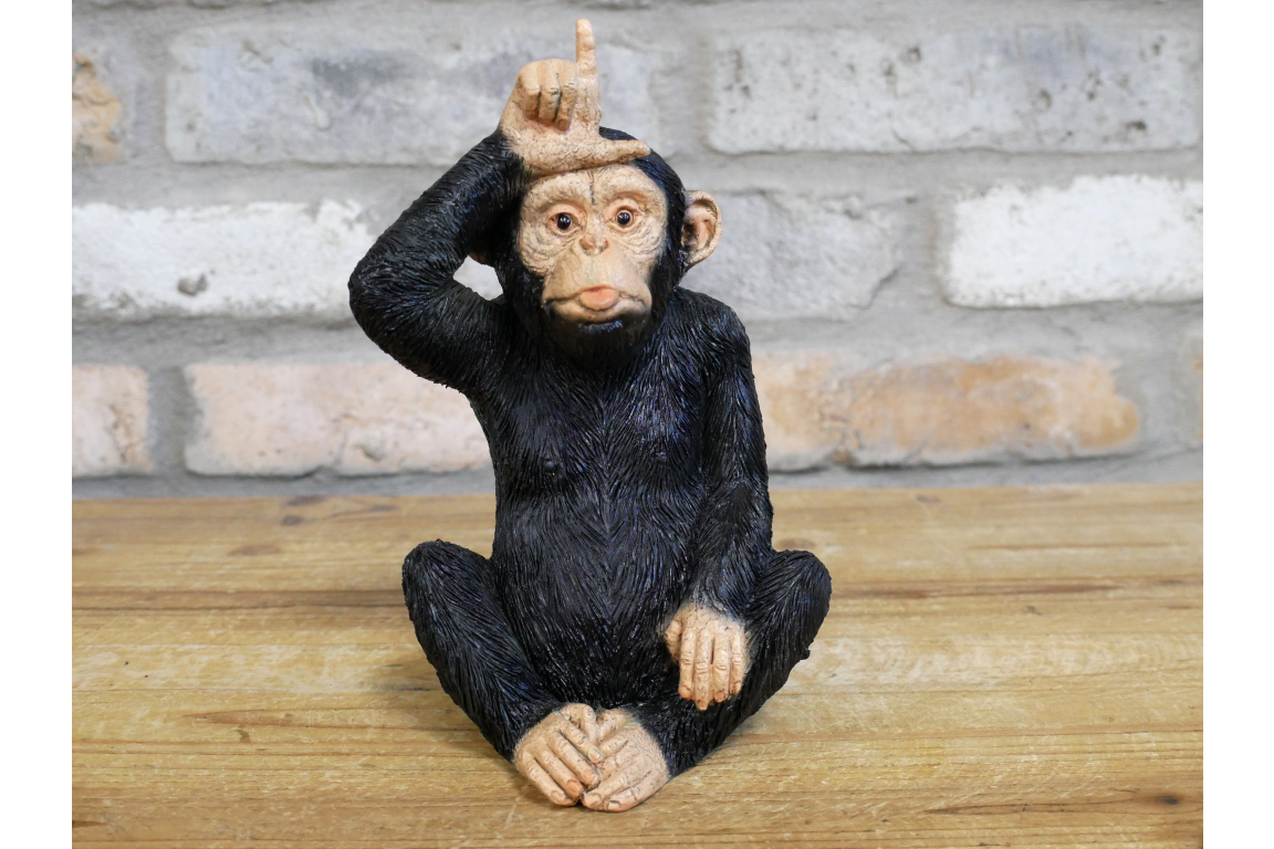 Little Loser Monkey