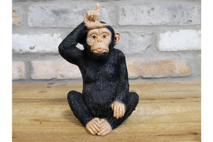 Little Loser Monkey