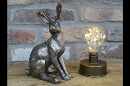 Hare