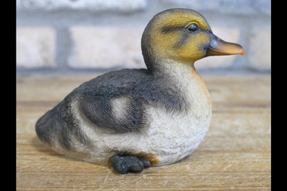 Set Of 3 Ducks
