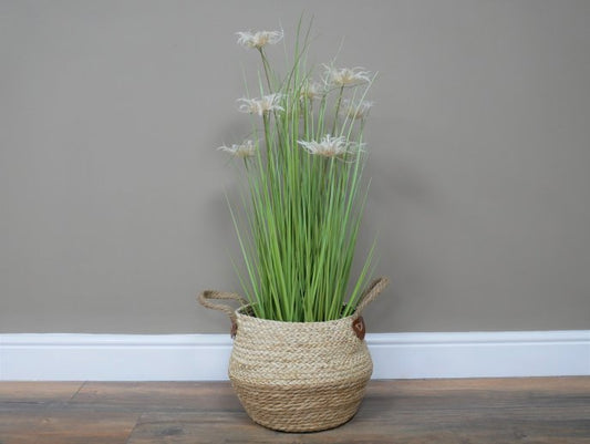 Basket / Planter