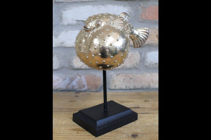 Puffer Fish