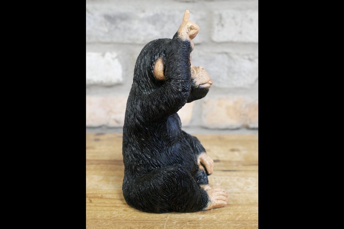 Little Loser Monkey