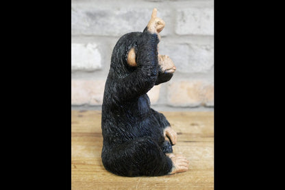 Little Loser Monkey