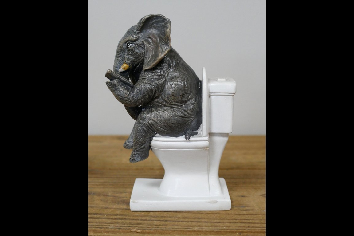 Elephant On The Loo