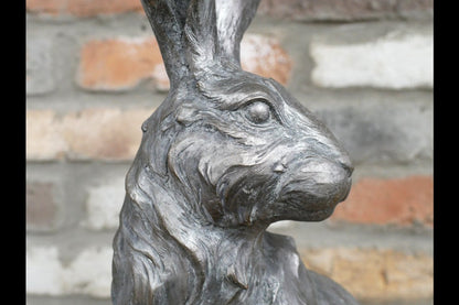 Sitting Rabbit