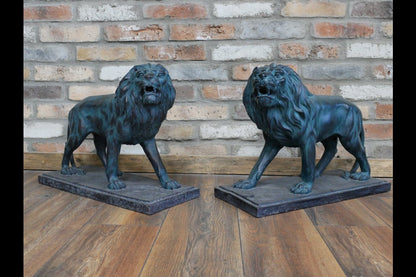Pair Of Lions