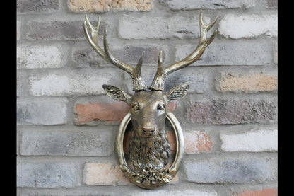 Stag Head