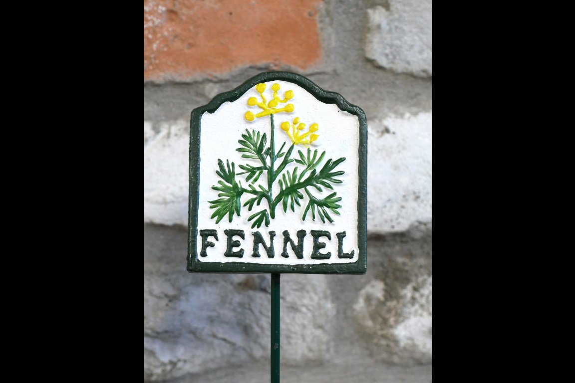 Herb Sign (Fennel)