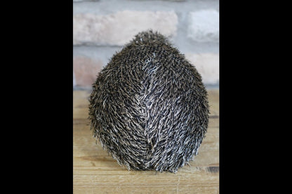Hedgehog