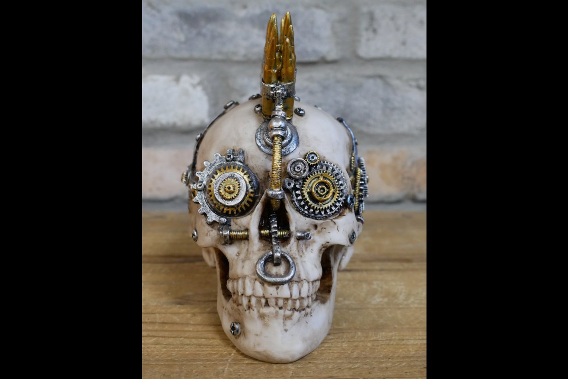 Skull