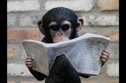 Monkey Reading The News