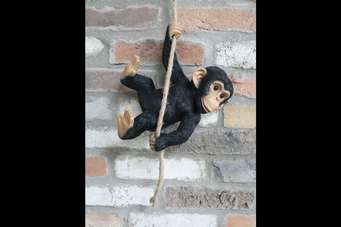 Swinging Monkey